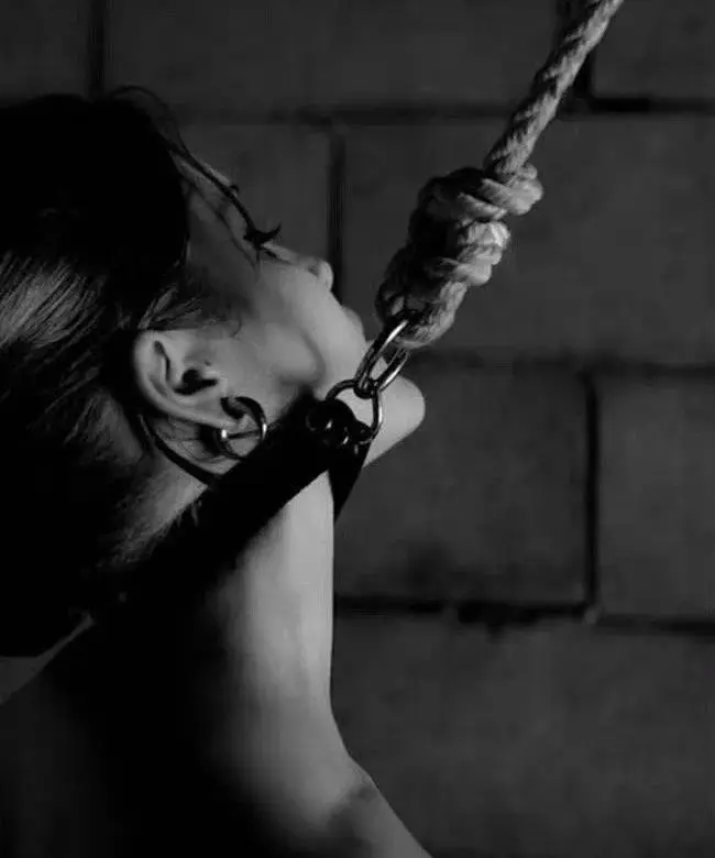 【西檬之家】BDSM科普：新人如何理解k8猫系与核心术语