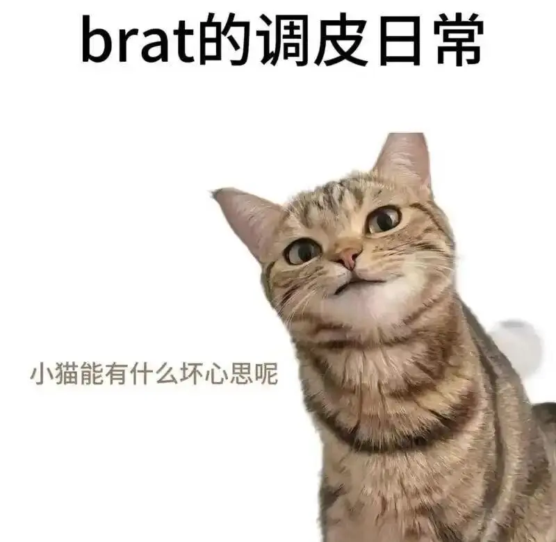 西檬之家-字母圈DT是什么