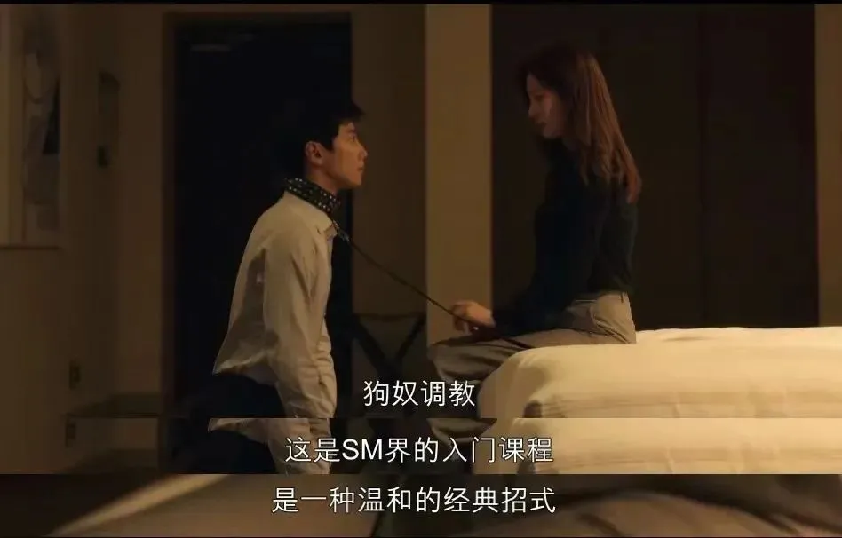 西檬之家-字母圈Sub是什么？新人必备指南