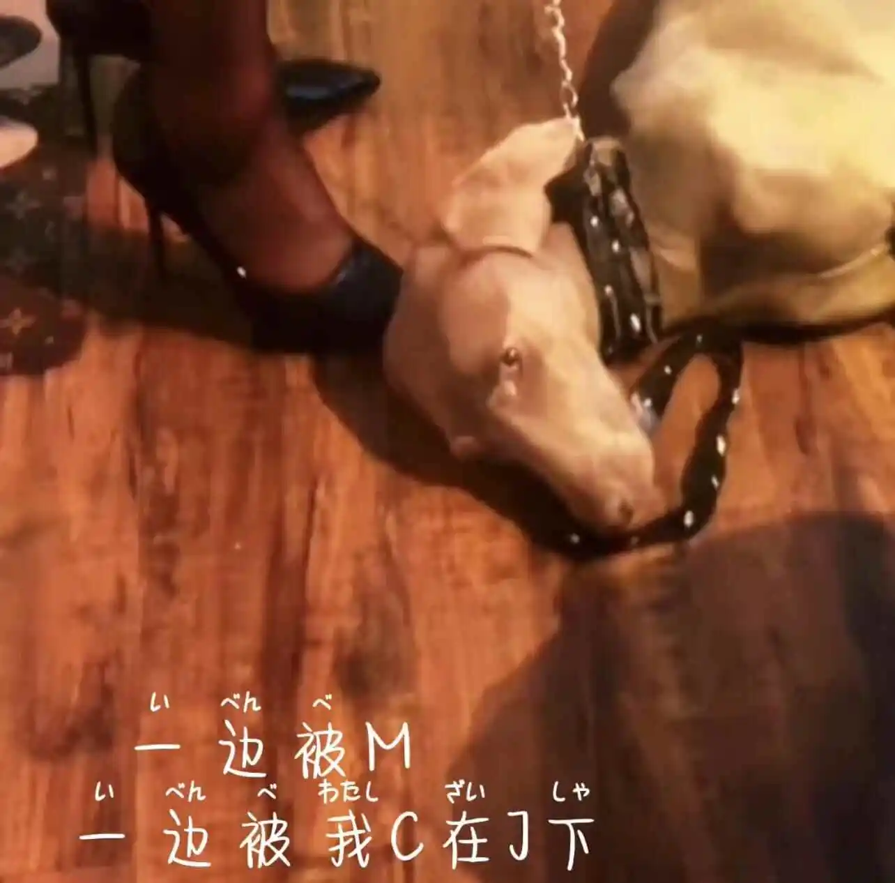 DS关系 - 2023_11_07_20_50_IMG_8911
