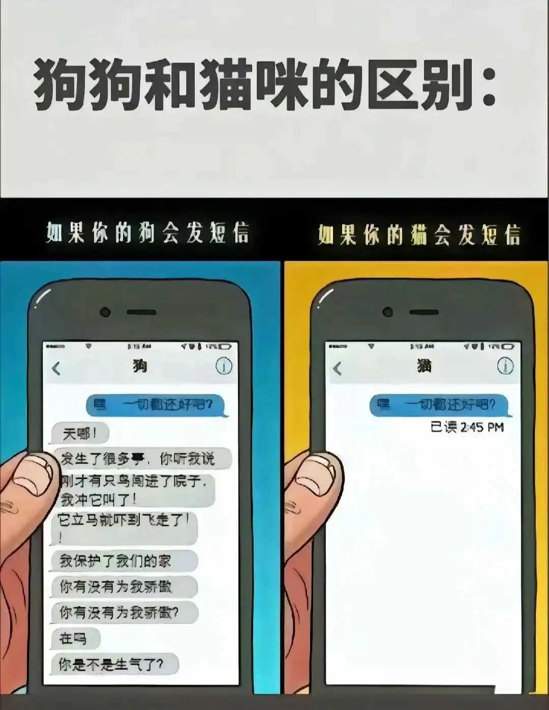 西檬之家-OTK是什么意思？字母圈新人SP入门指南