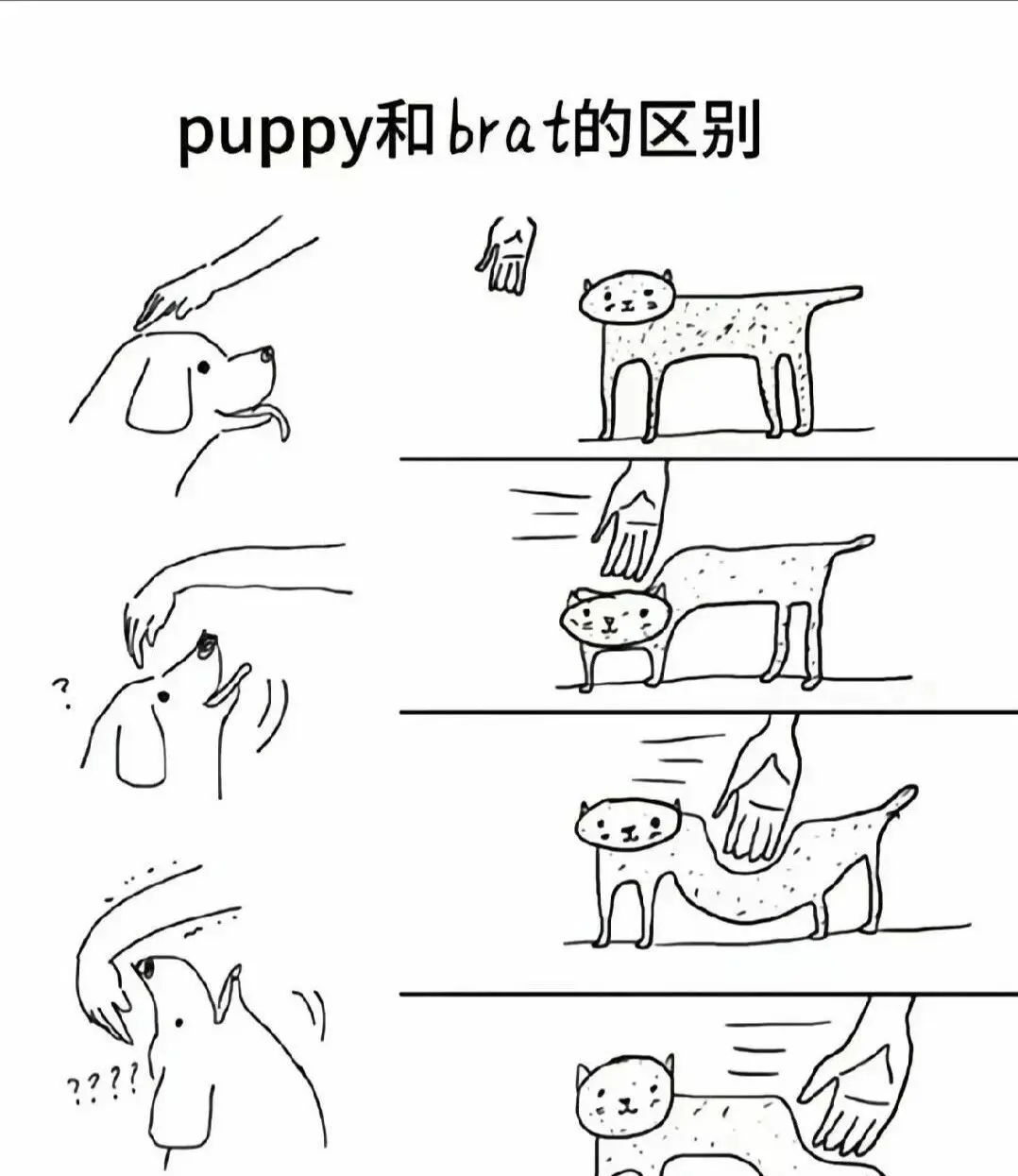 西檬之家-PE权力交换是什么？BDSM新人必读指南