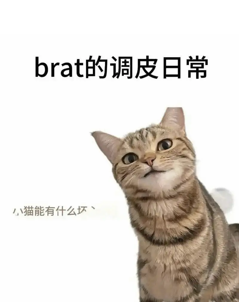 西檬之家-Dirty Talk是什么？字母圈新人入圈指南