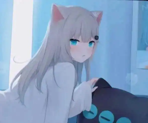 Sub是什么 - 2023_11_28_20_47_IMG_9168