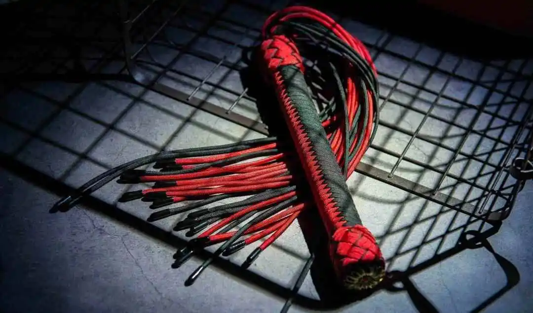 【西檬之家】BDSM新手入门：理解SP与字母圈核心术语